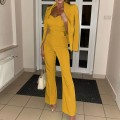 Fall new fashion long-sleeved small suit pants jumpsuit suit two-piece set Fall new fashion long-sleeved small suit pants jumpsuit suit two-piece set